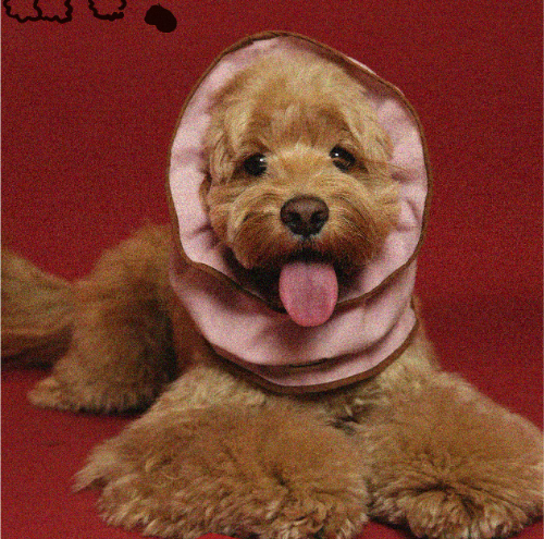 Pēnut Christmas Puff Little Holiday Ear Snood