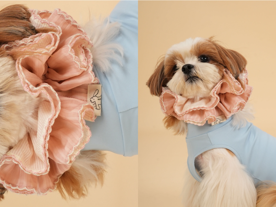 Pēnut Sheer Ruffle Neck Collar