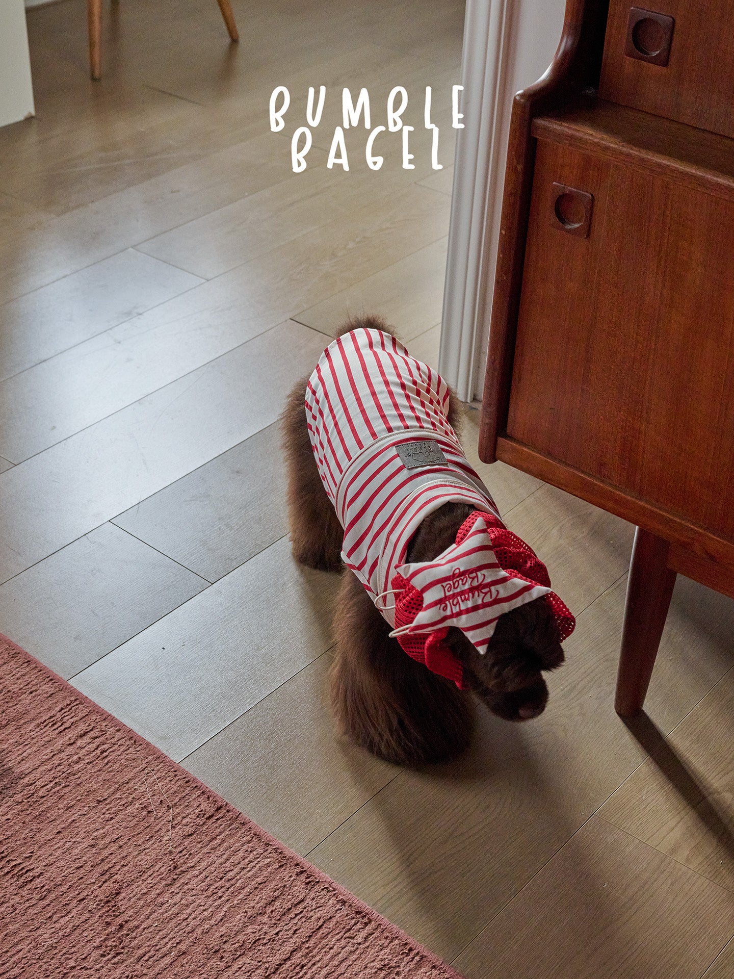 Bumble Bagel Candy Stripe Dog Ear Snood