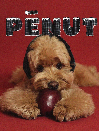 Pēnut Christmas Apple Check Ear Snood & Bandana
