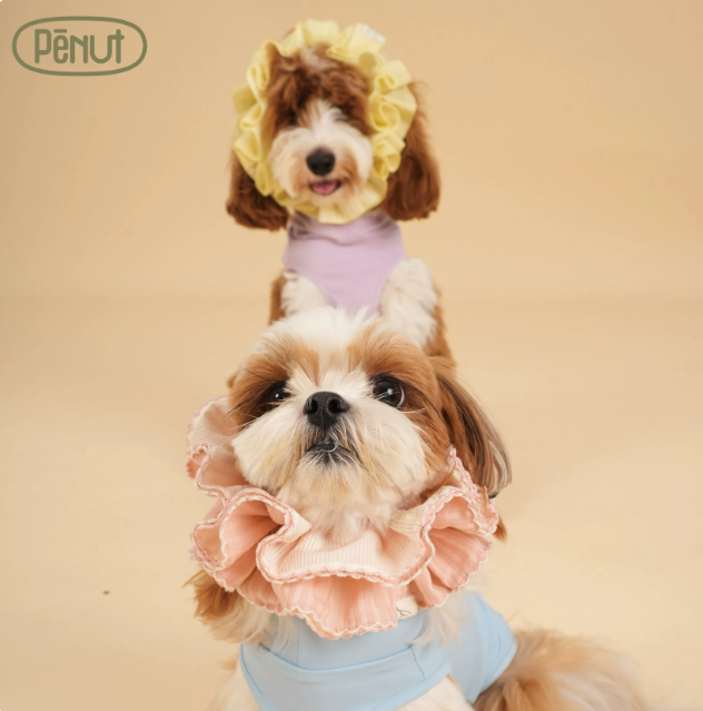 Pēnut Sheer Ruffle Neck Collar