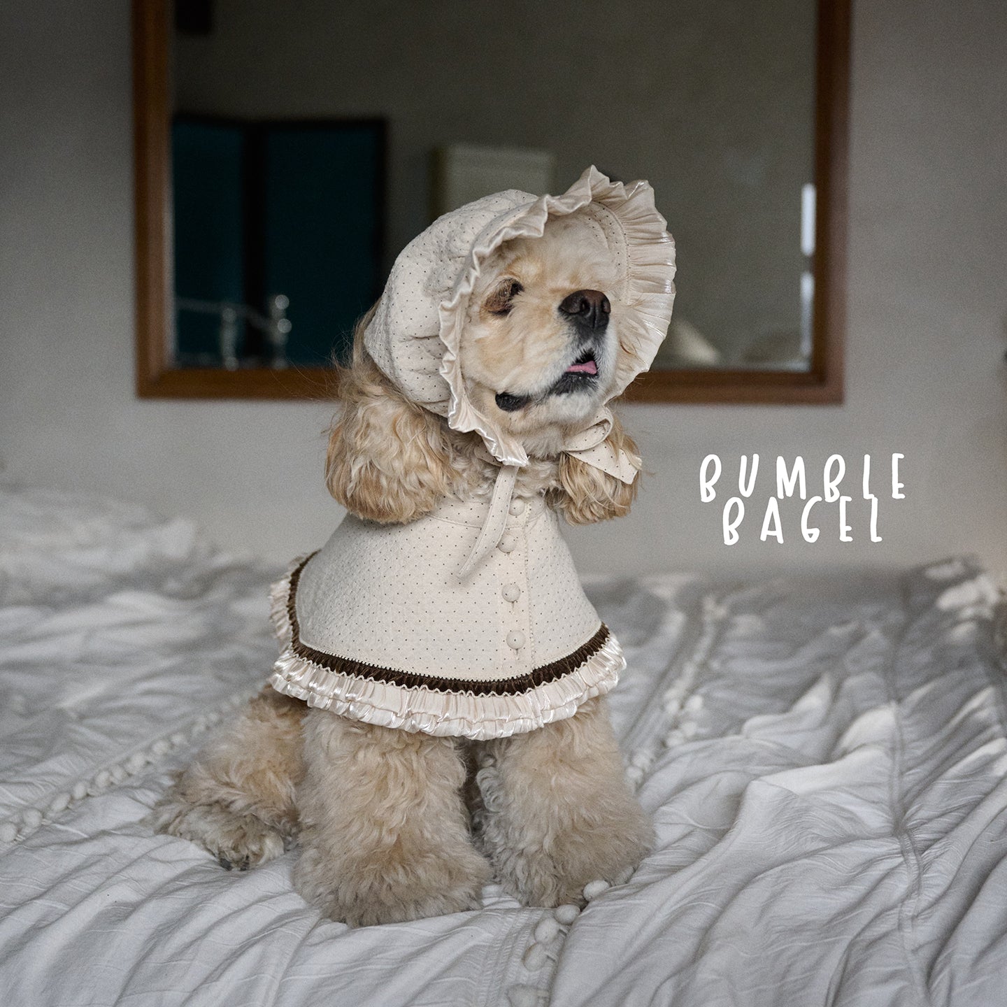 Bumble Bagel Vintage Ruffle Dog Cape & Bonnet