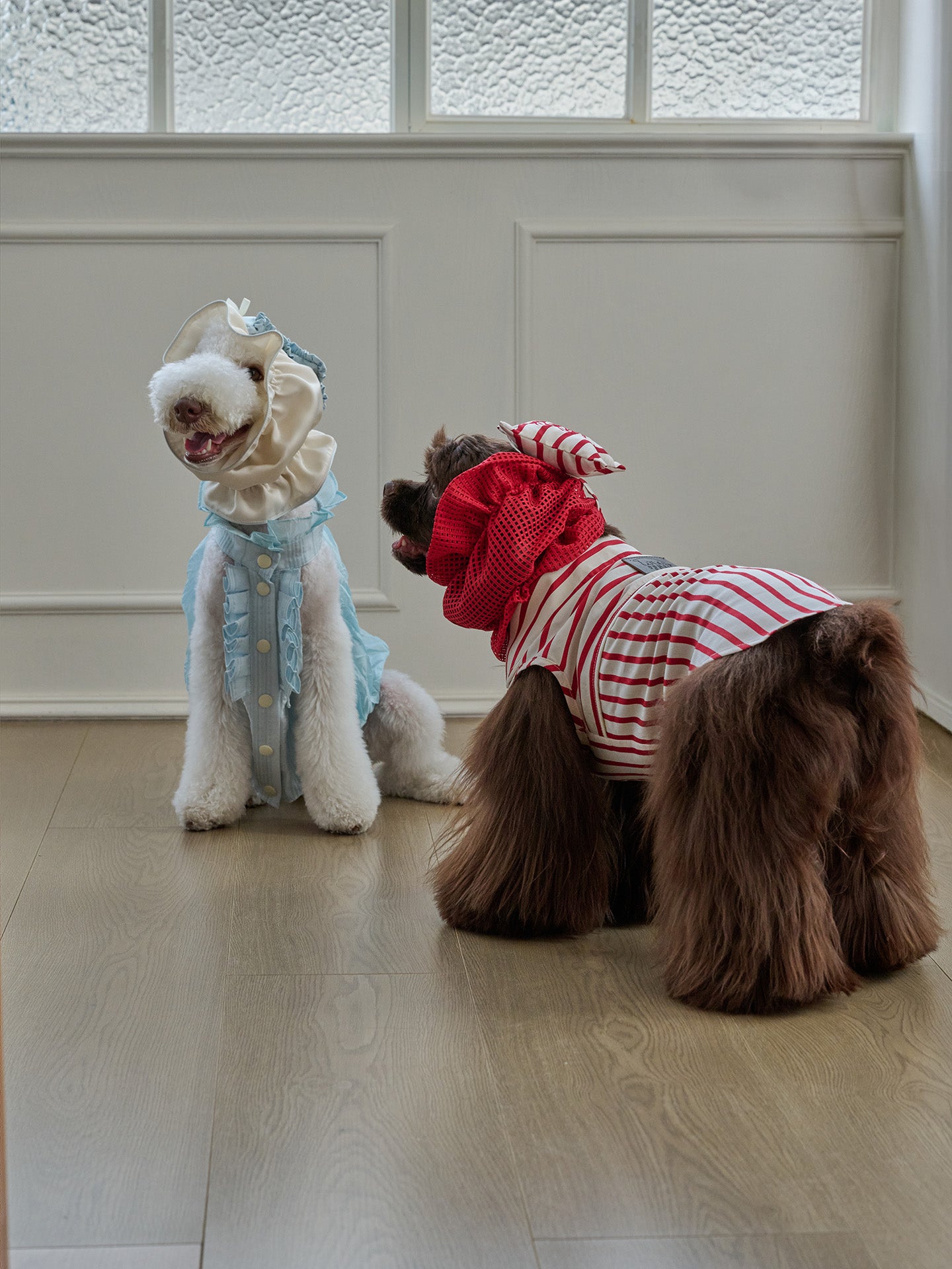 Bumble Bagel Candy Stripe Dog Ear Snood