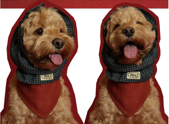 Pēnut Christmas Apple Check Ear Snood & Bandana