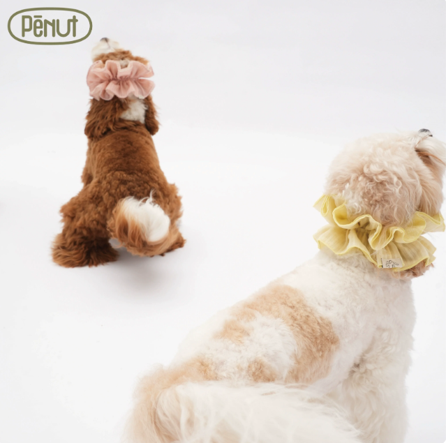 Pēnut Sheer Ruffle Neck Collar