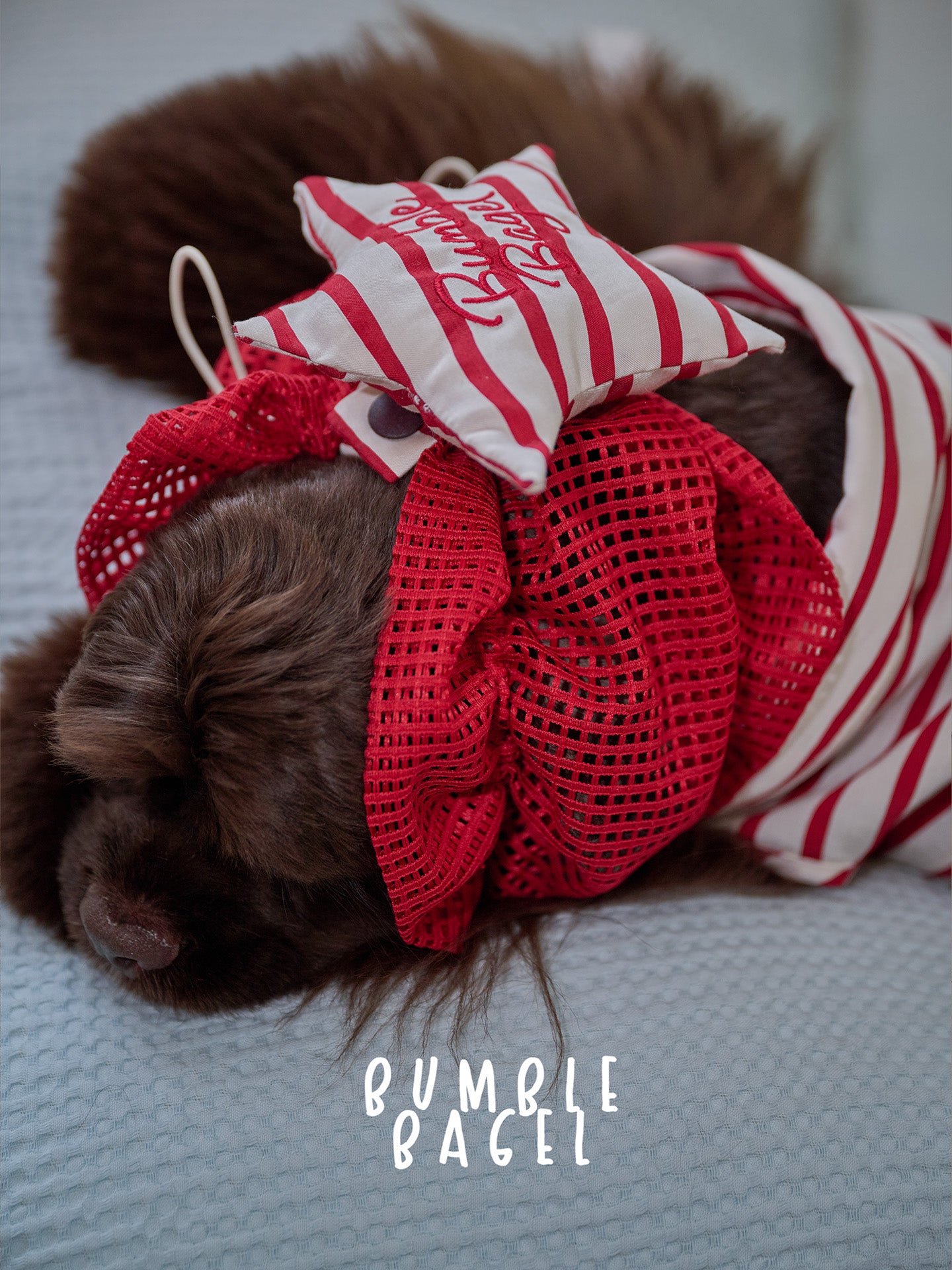 Bumble Bagel Candy Stripe Dog Ear Snood