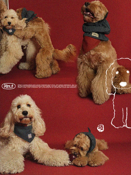 Pēnut Christmas Apple Check Ear Snood & Bandana
