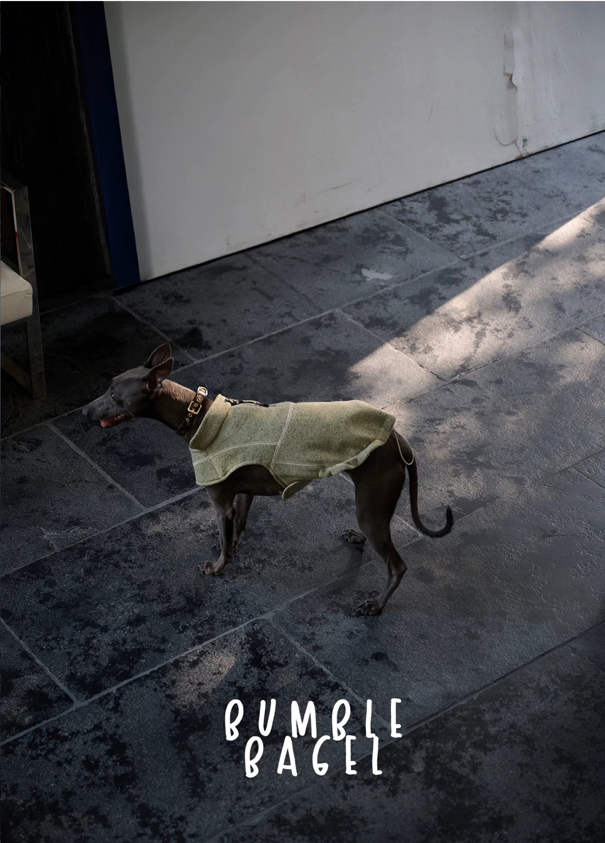 Bumble Bagel Summit Trail Wind-Resistant Dog Cape