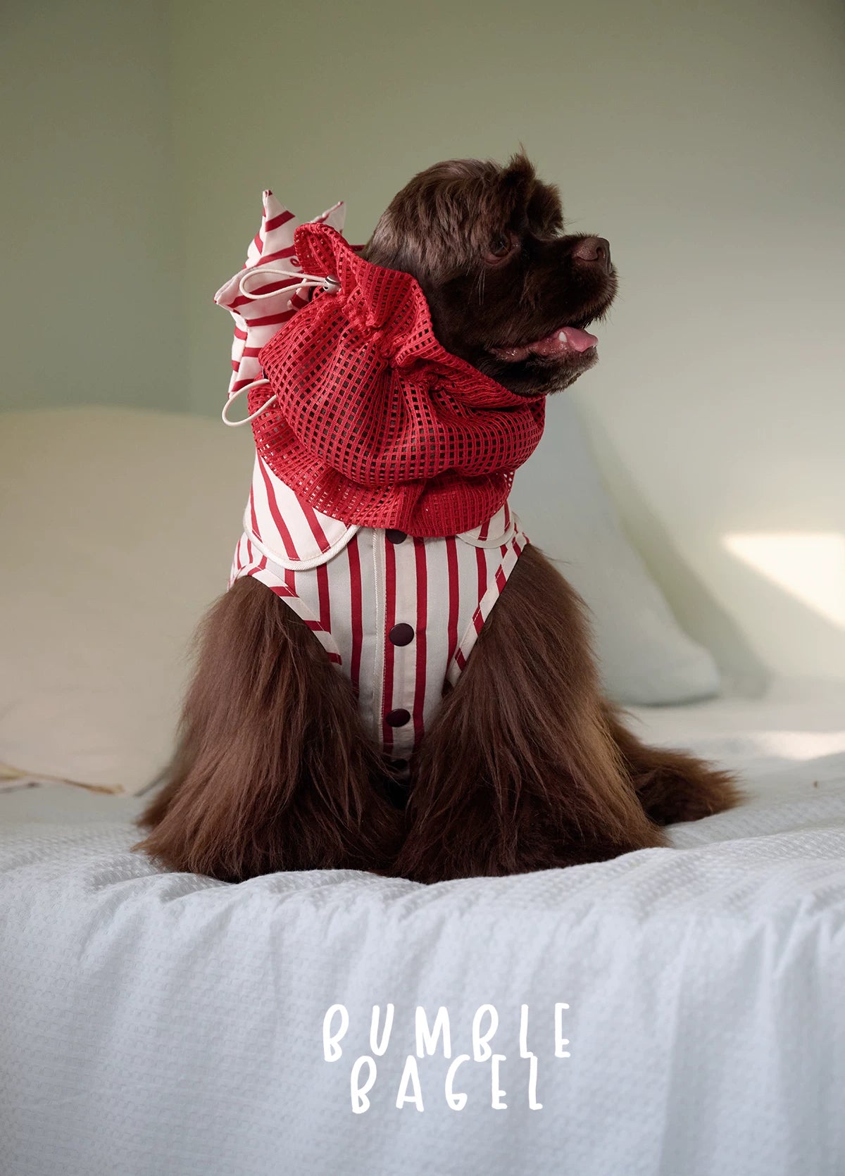 Bumble Bagel Candy Stripe Dog Ear Snood