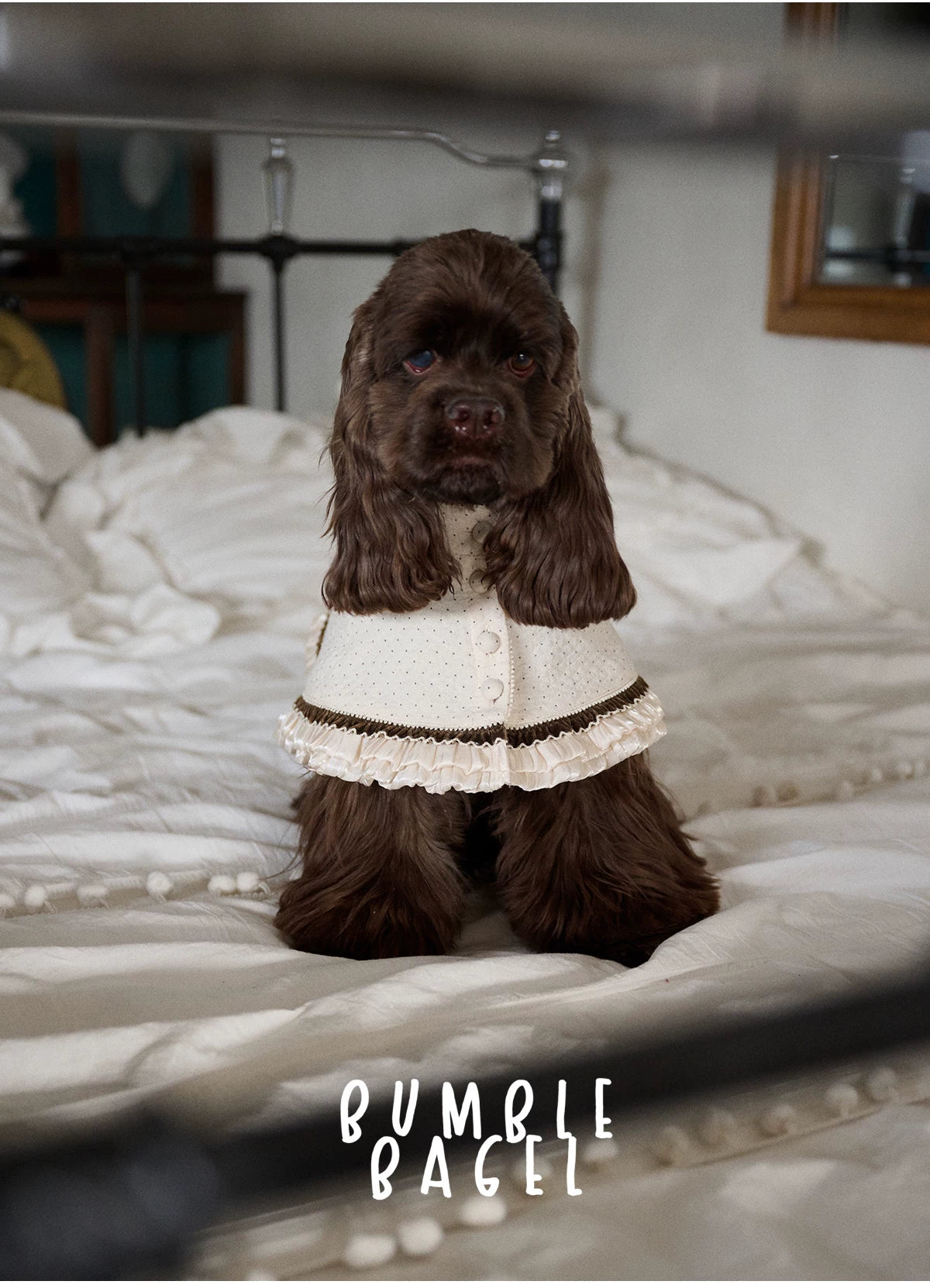 Bumble Bagel Vintage Ruffle Dog Cape & Bonnet