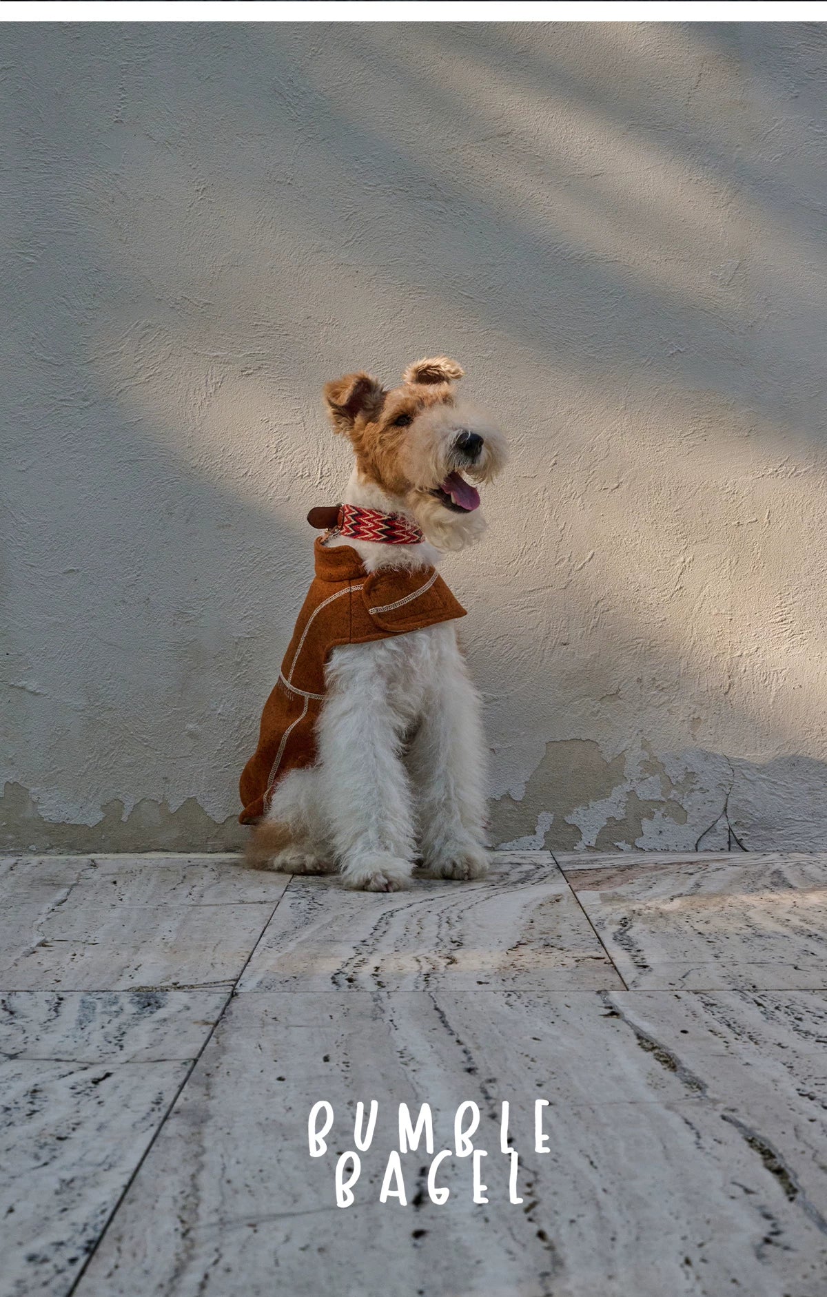 Bumble Bagel Summit Trail Wind-Resistant Dog Cape