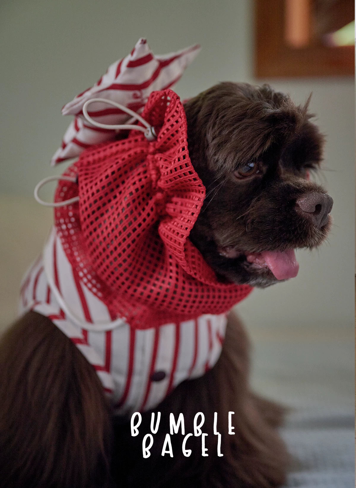 Bumble Bagel Candy Stripe Dog Ear Snood