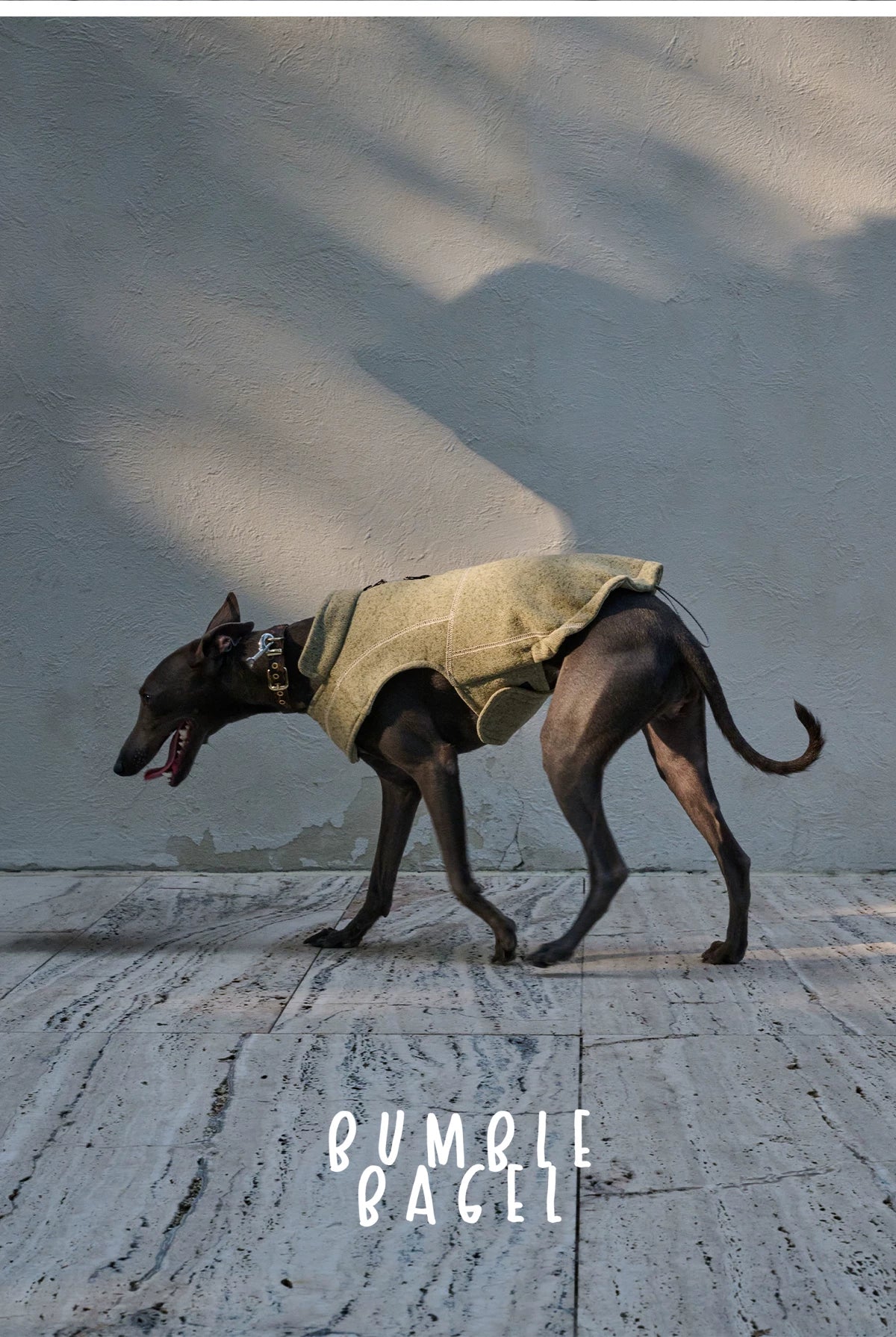 Bumble Bagel Summit Trail Wind-Resistant Dog Cape