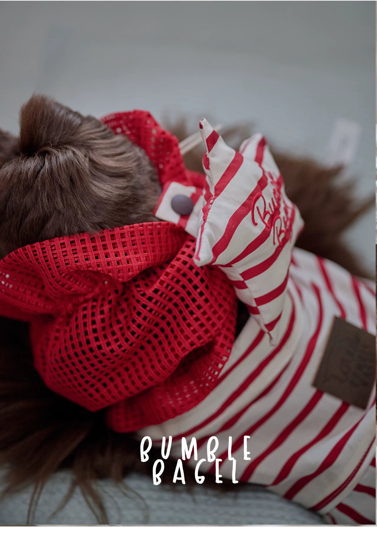 Bumble Bagel Candy Stripe Dog Ear Snood