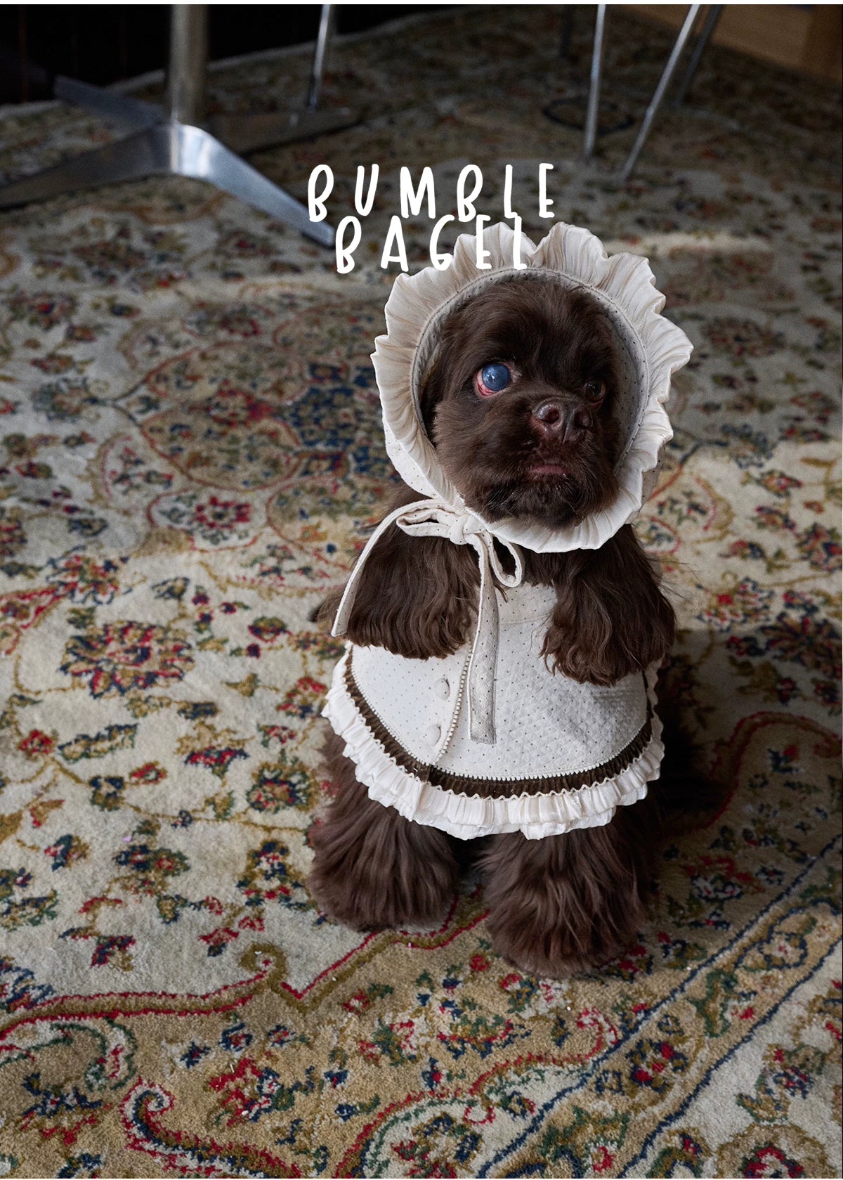 Bumble Bagel Vintage Ruffle Dog Cape & Bonnet
