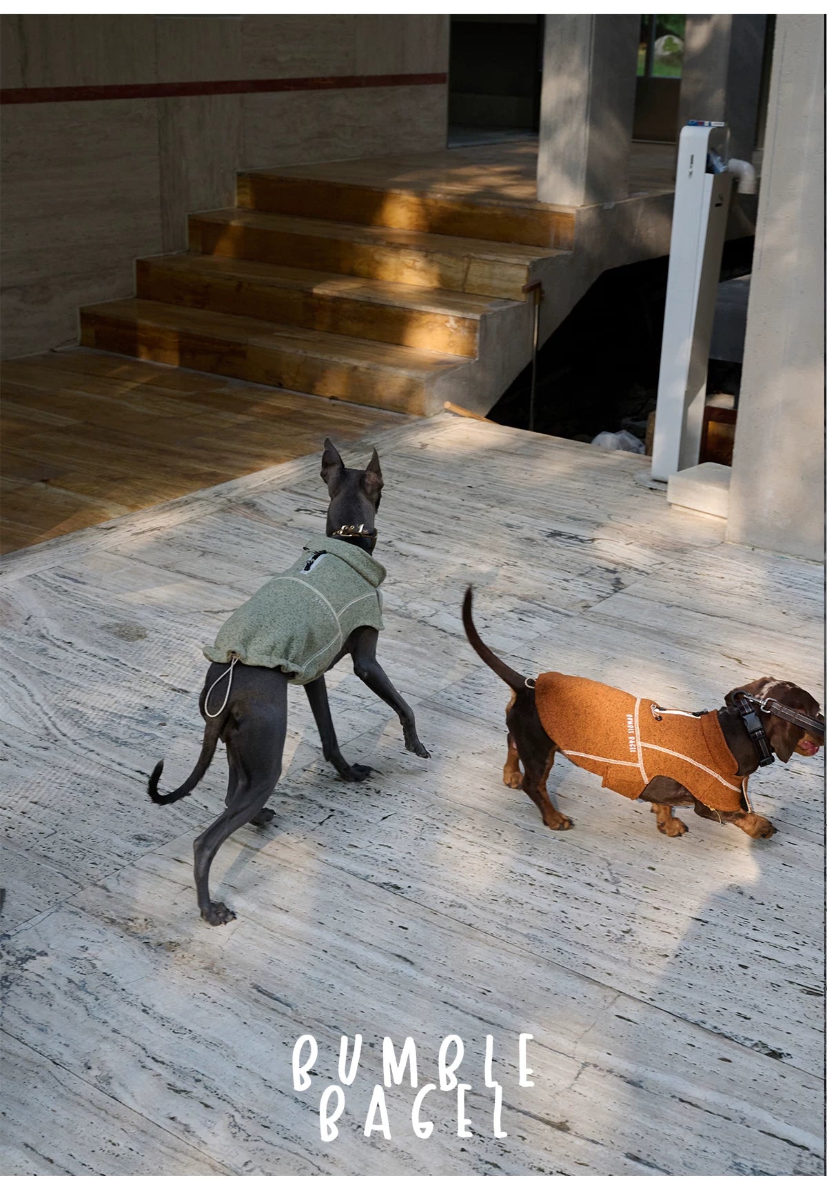 Bumble Bagel Summit Trail Wind-Resistant Dog Cape