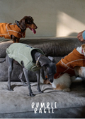 Bumble Bagel Summit Trail Wind-Resistant Dog Cape