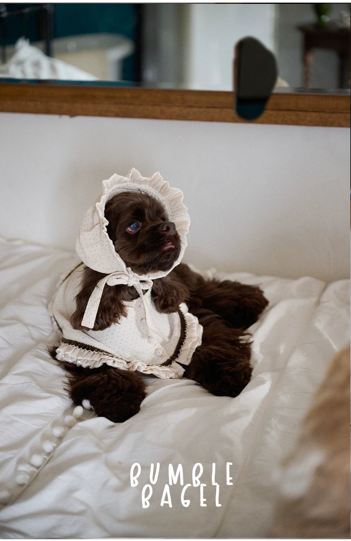 Bumble Bagel Vintage Ruffle Dog Cape & Bonnet