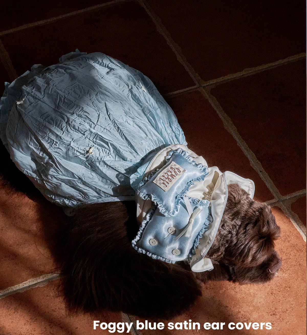 Bumble Bagel Little Bluebonnet Dog Ear Snood