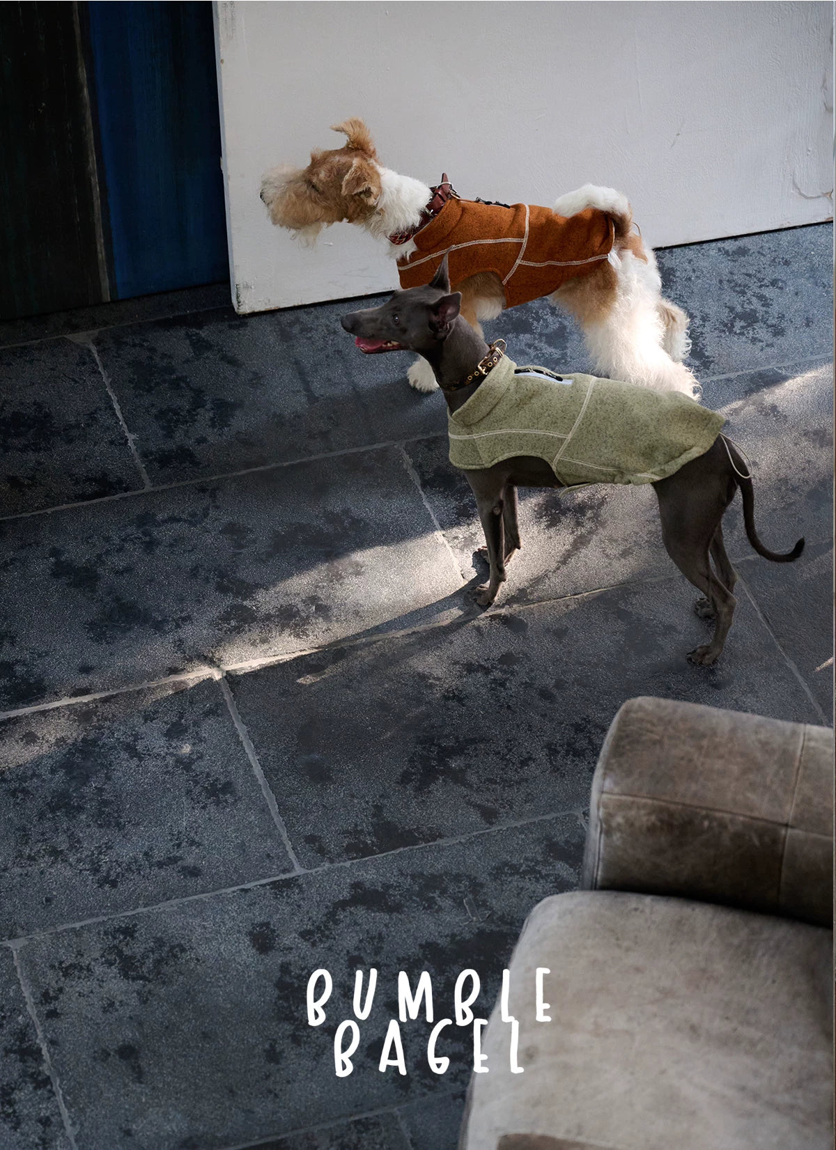 Bumble Bagel Summit Trail Wind-Resistant Dog Cape