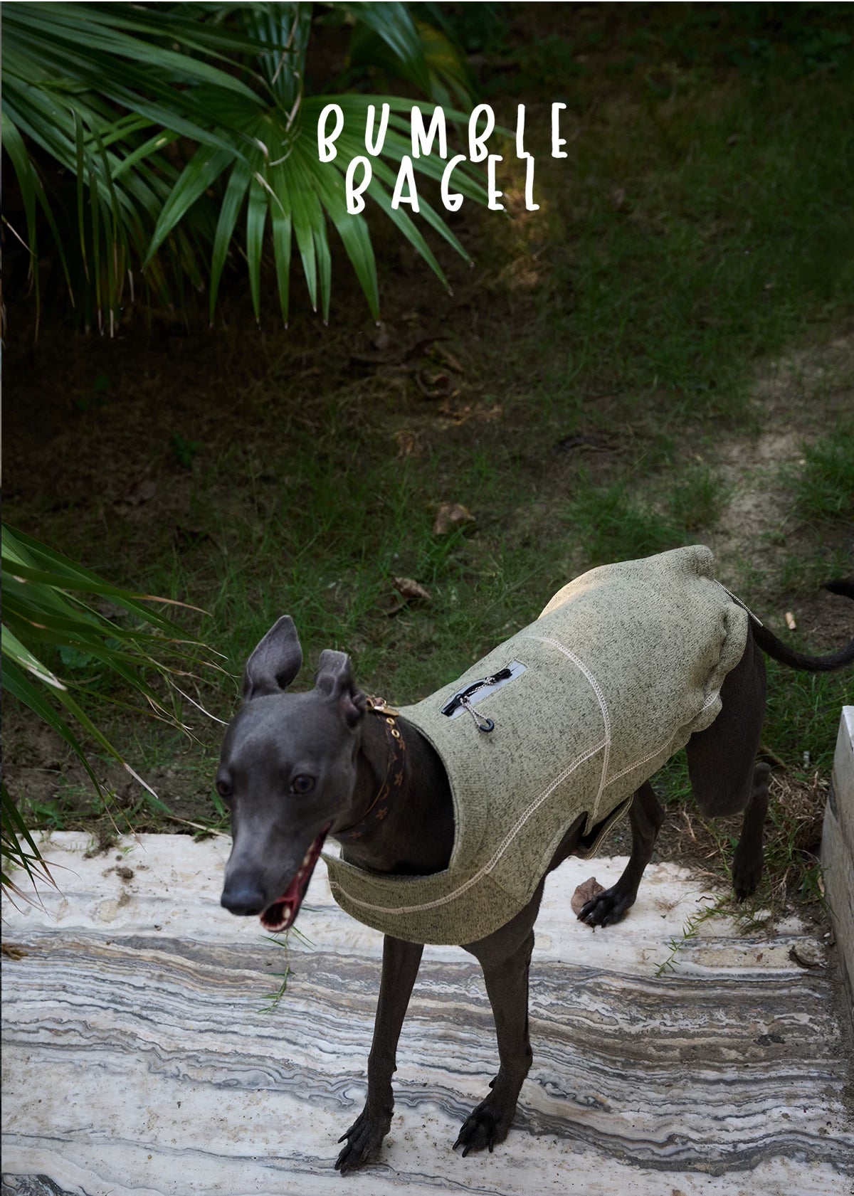 Bumble Bagel Summit Trail Wind-Resistant Dog Cape