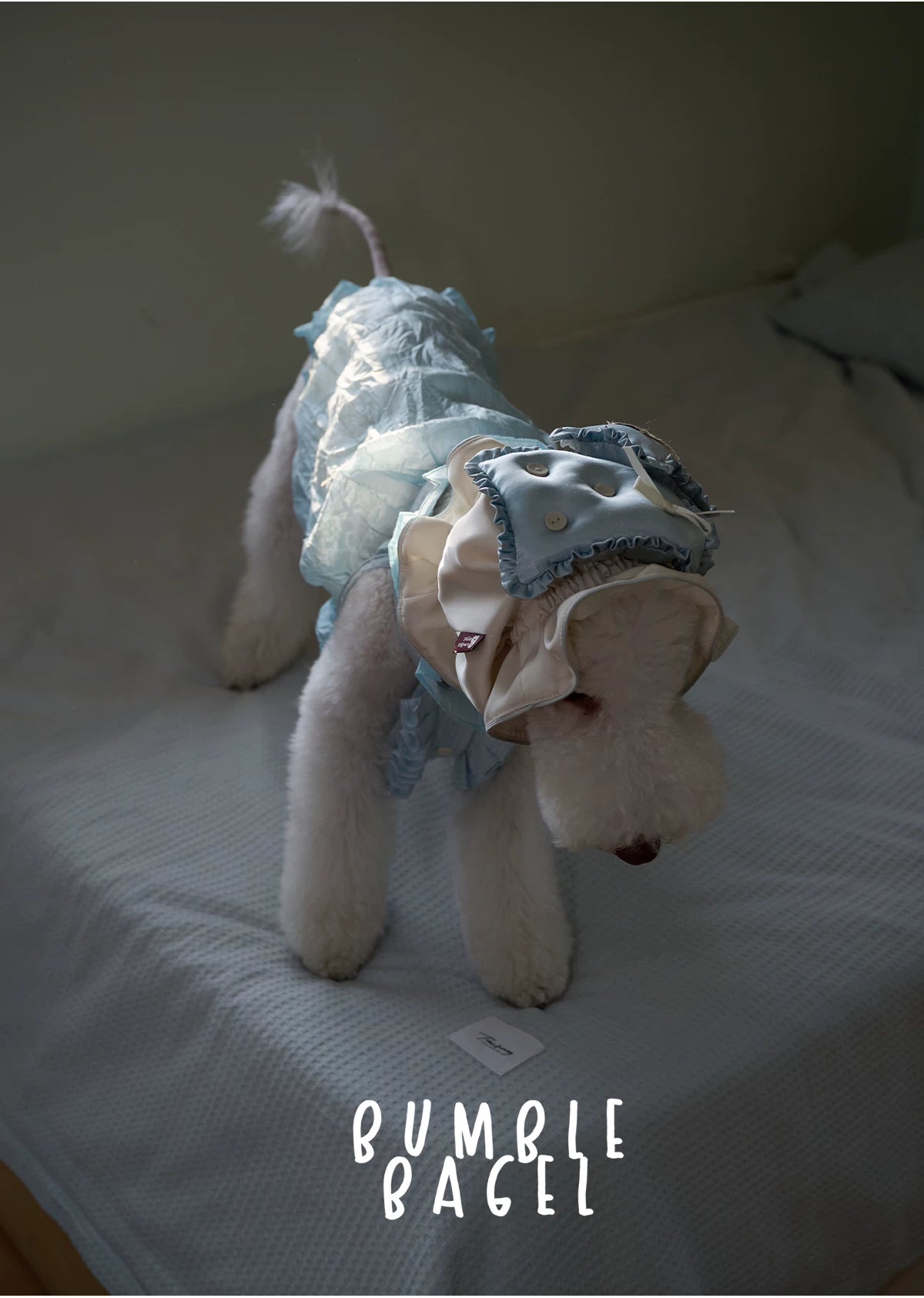 Bumble Bagel Little Bluebonnet Dog Ear Snood