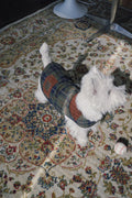 Bumble Bagel Green Plaid & Corduroy Dog Cape