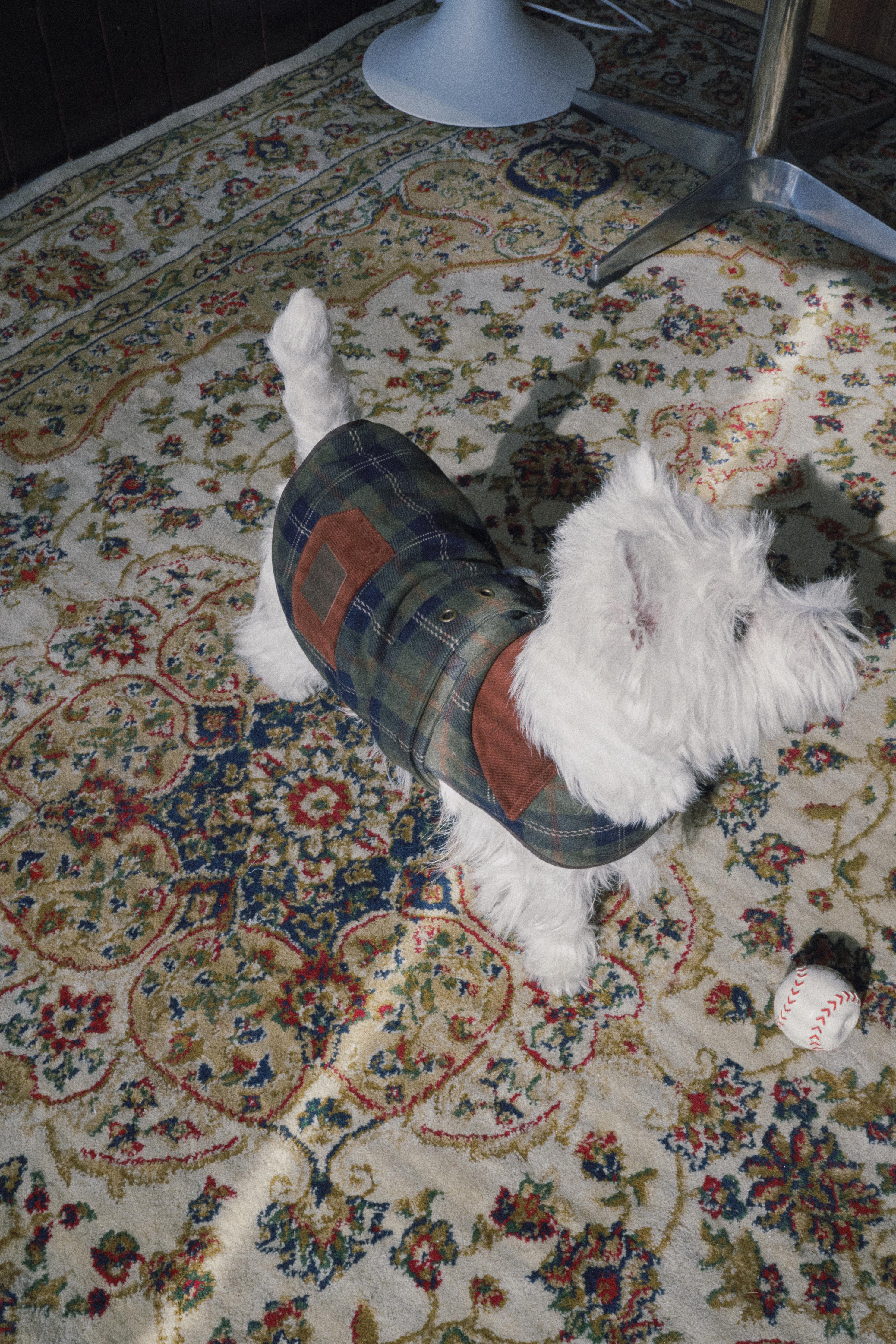 Bumble Bagel Green Plaid & Corduroy Dog Cape