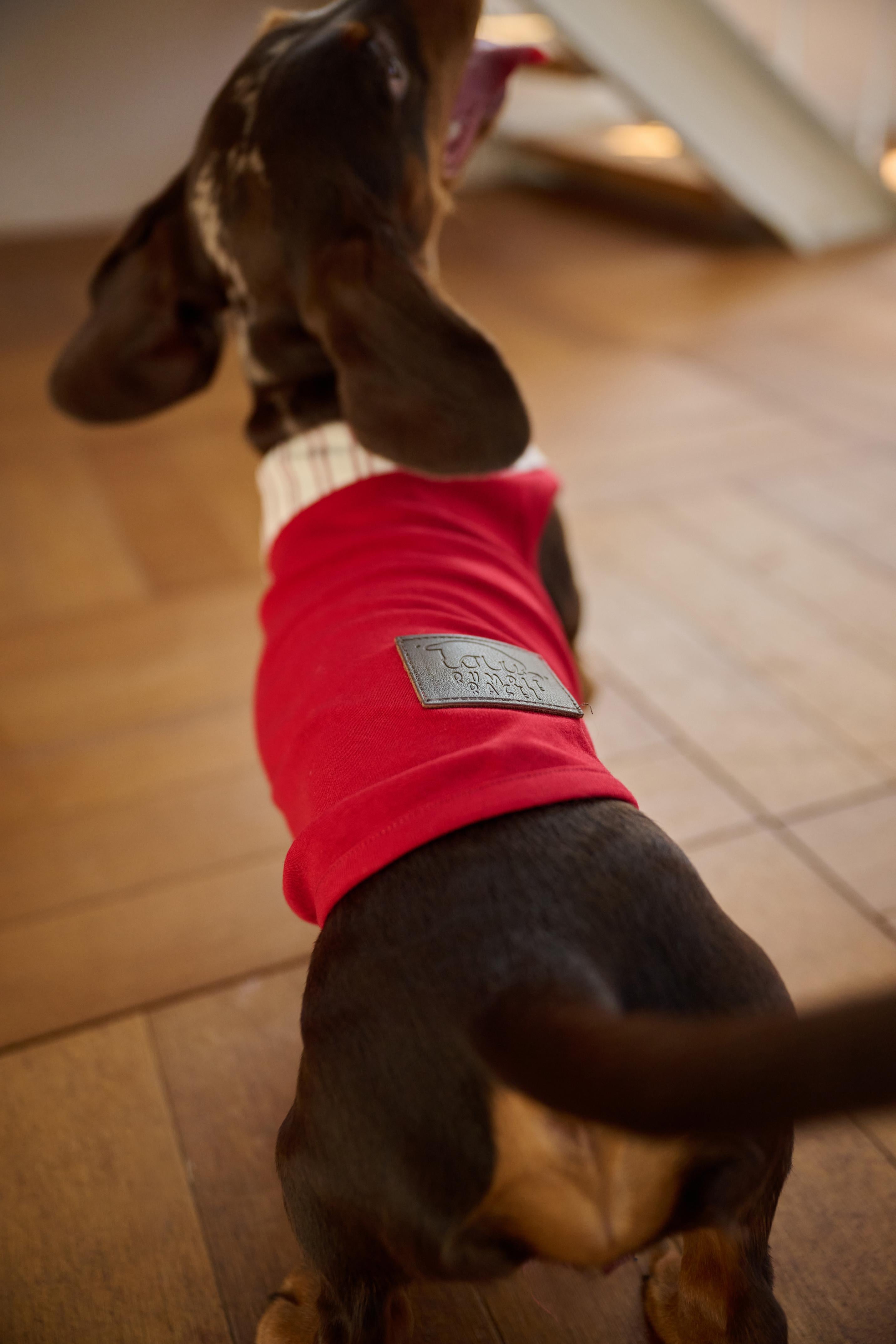 Bumble Bagel British-Style Red & Striped Collar Dog T-Shirt