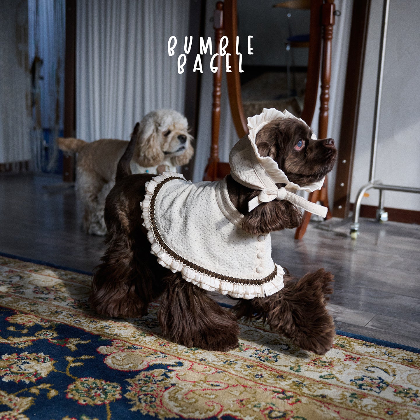 Bumble Bagel Vintage Ruffle Dog Cape & Bonnet