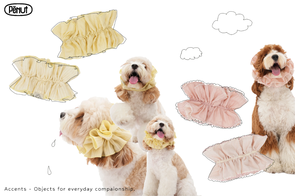 Pēnut Sheer Ruffle Neck Collar