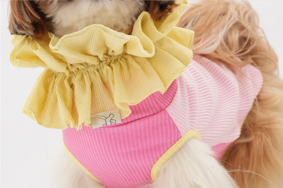 Pēnut Sheer Ruffle Neck Collar