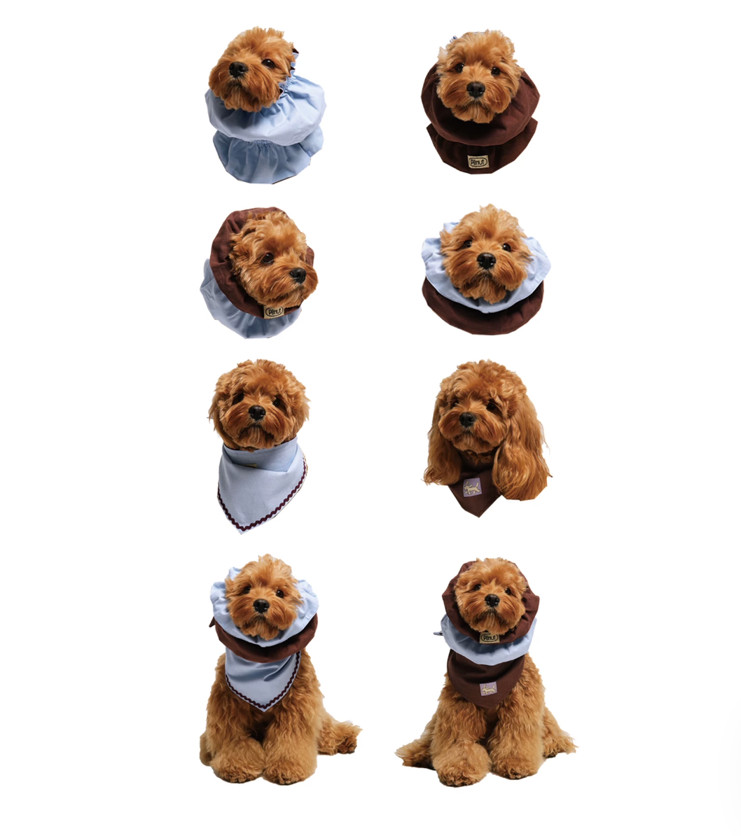 Pēnut Light Chocolate Ear Snood & Blue Bandana