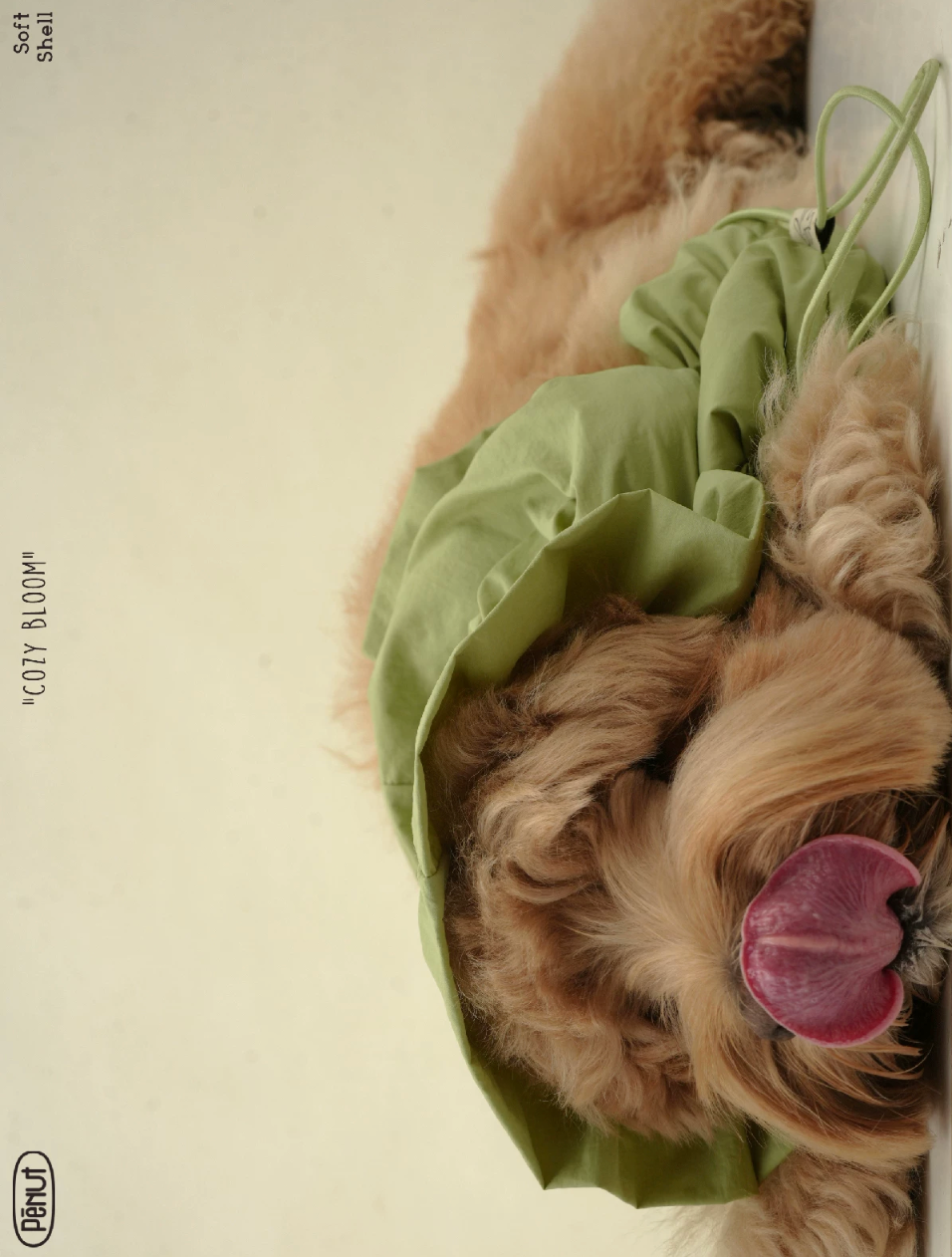 Pēnut Summer Candy Ear Snood
