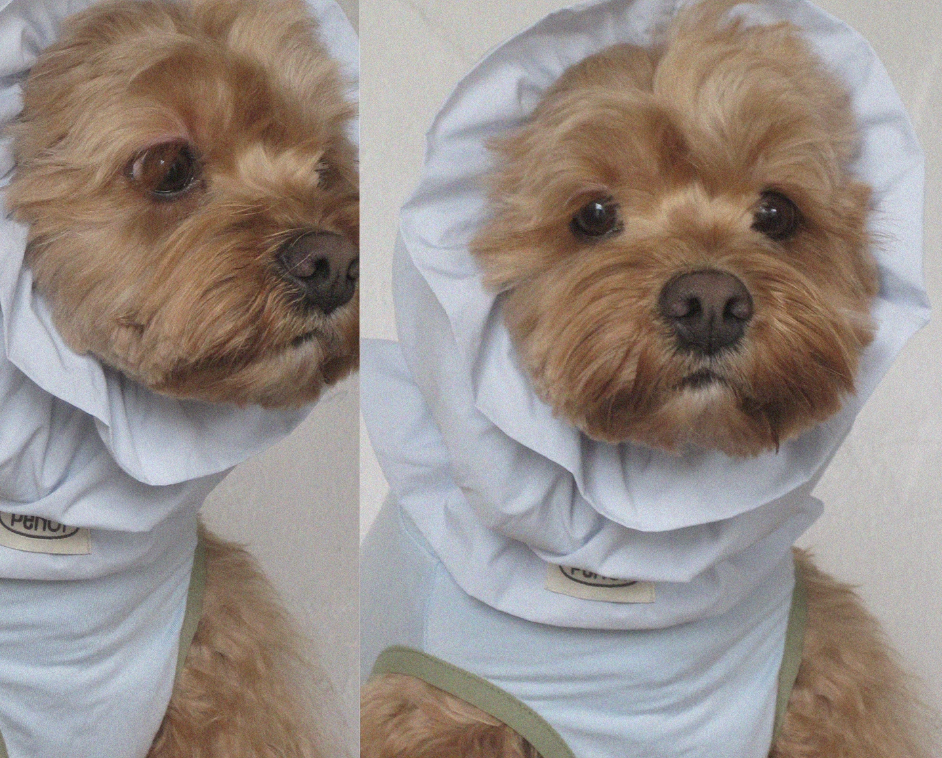 Pēnut Summer Candy Ear Snood