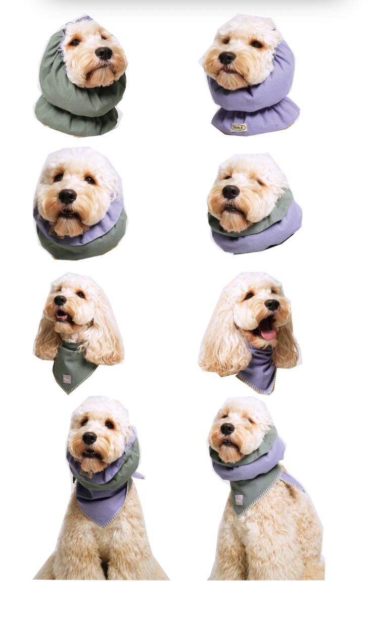 Pēnut Teal & Lavender Ear Snood & Bandana