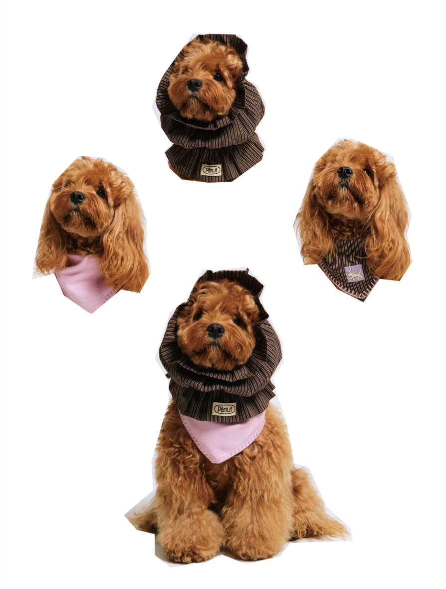 Pēnut Pink Stripe Ear Snood & Bandana