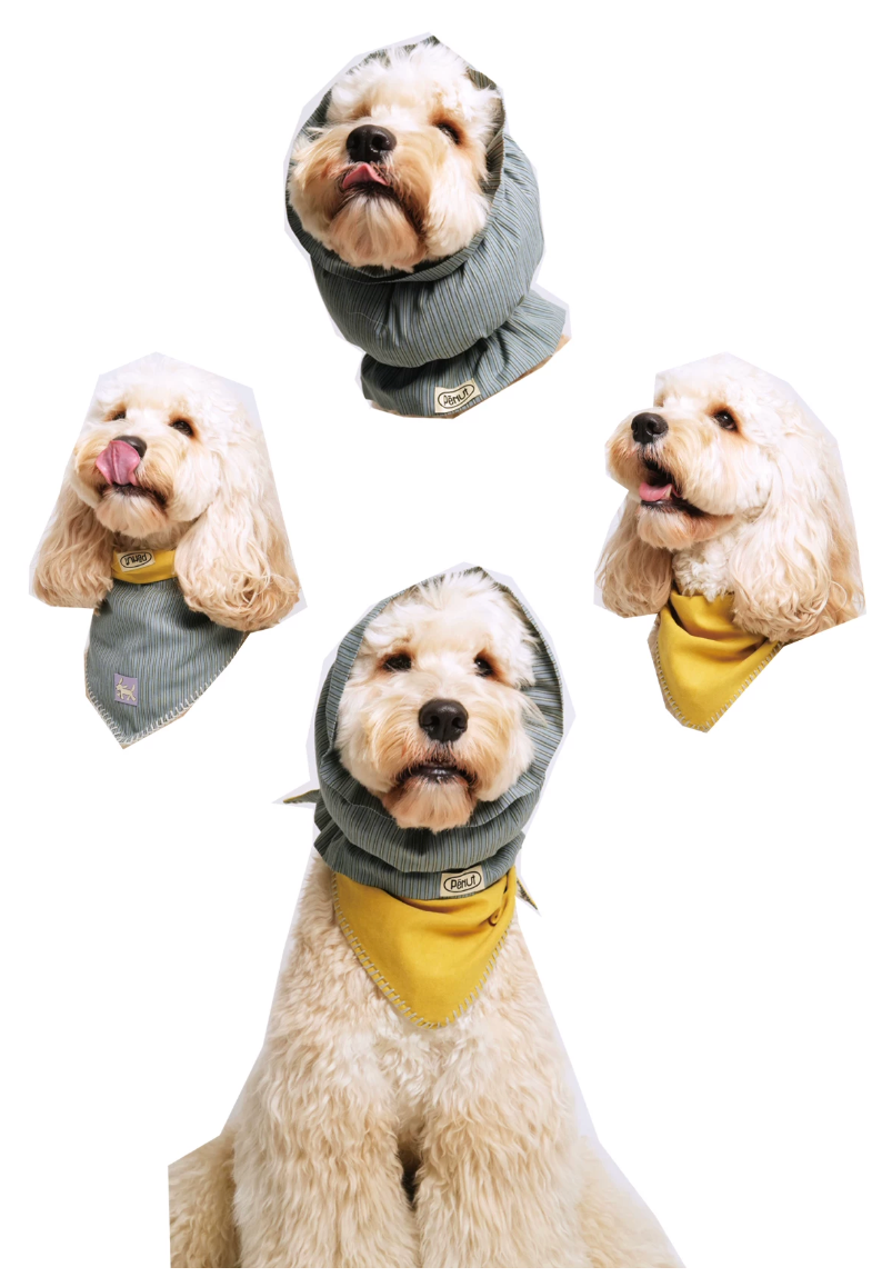 Pēnut Yellow & Blue Ear Snood & Bandana