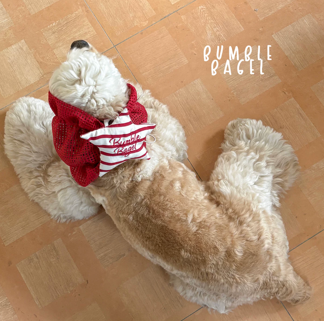 Bumble Bagel Candy Stripe Dog Ear Snood