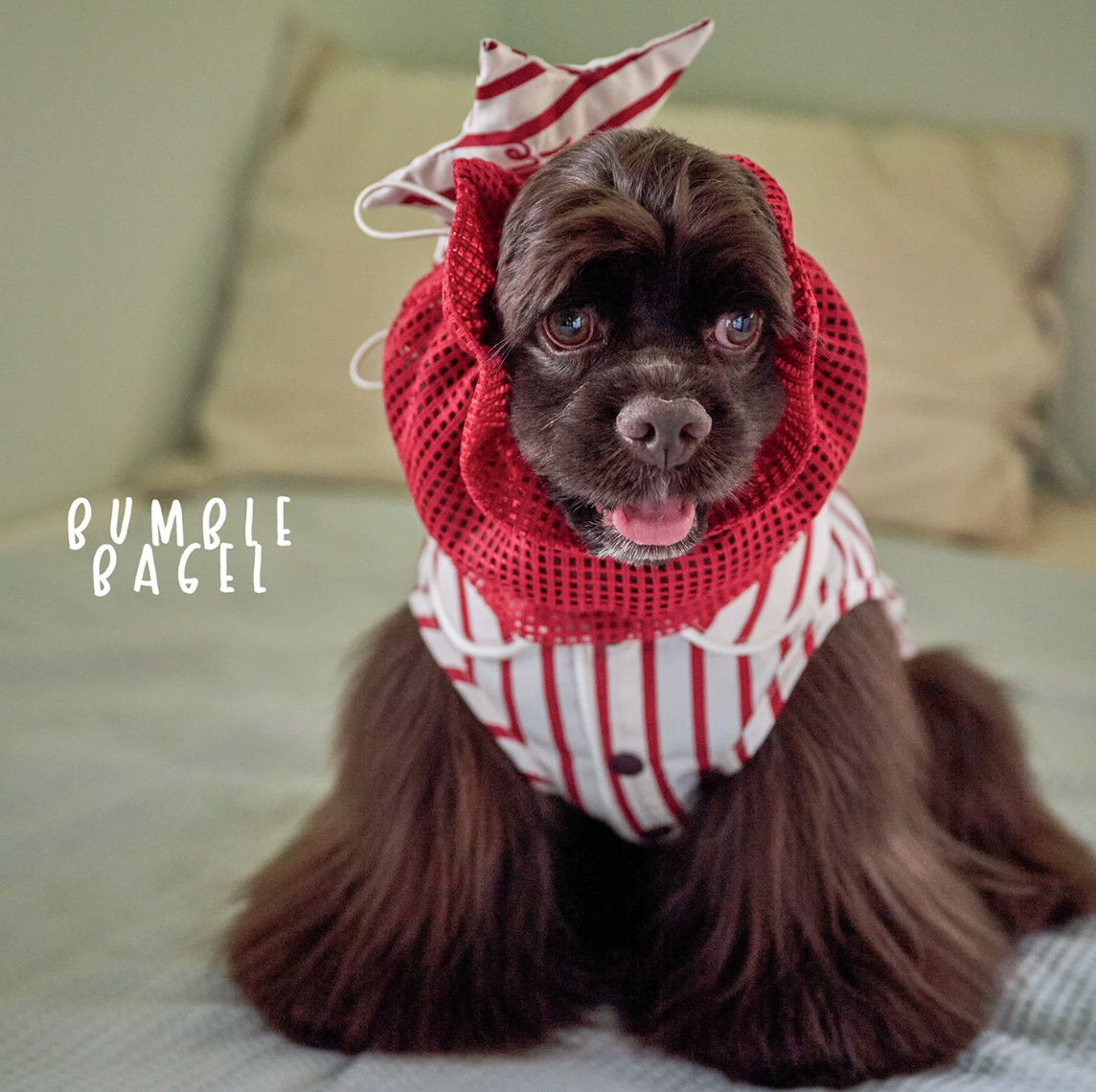 Bumble Bagel Candy Stripe Dog Ear Snood