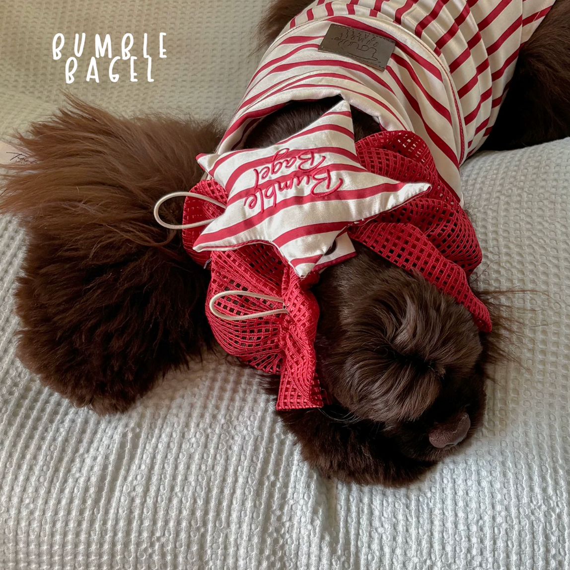 Bumble Bagel Candy Stripe Dog Ear Snood