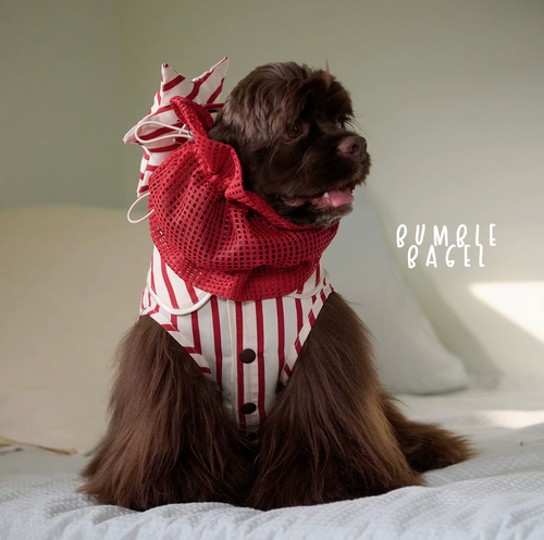 Bumble Bagel Candy Stripe Dog Ear Snood