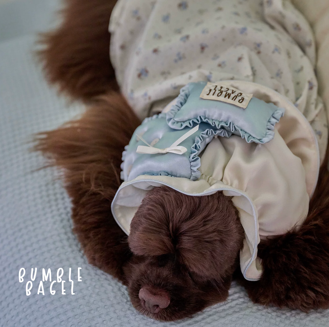 Bumble Bagel Little Bluebonnet Dog Ear Snood
