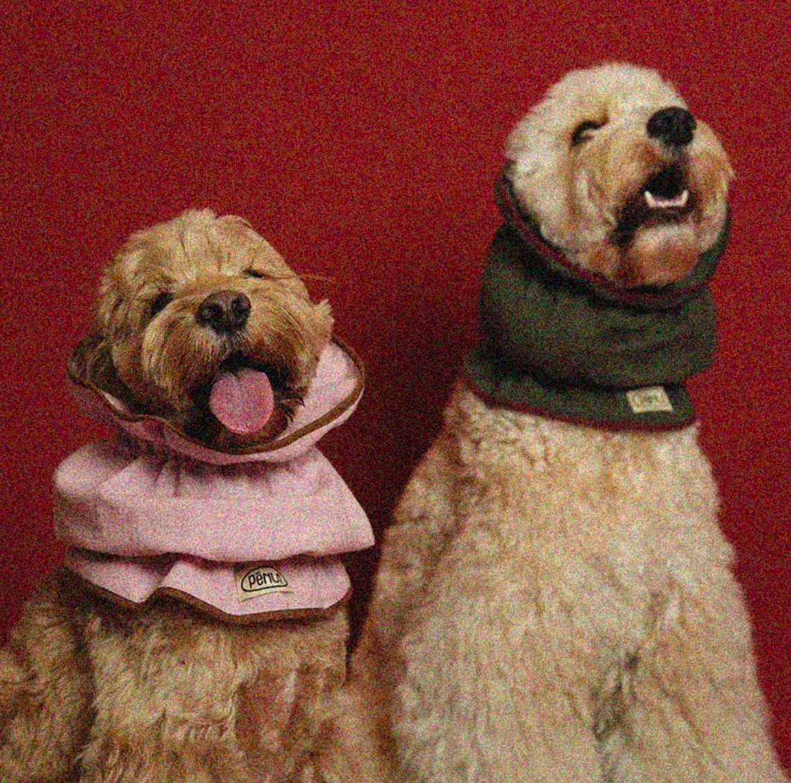 Pēnut Christmas Puff Little Holiday Ear Snood