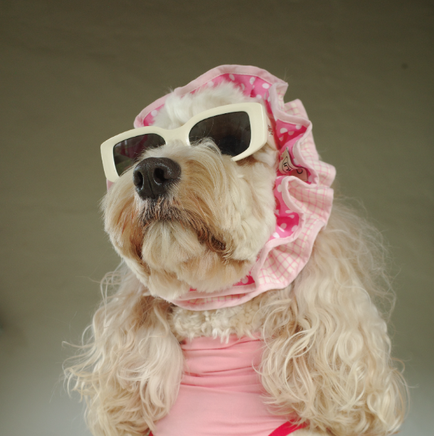 Pēnut Pink Polka Dot Cotton Dog Ear Snood