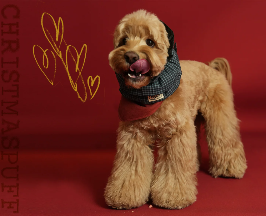 Pēnut Christmas Apple Check Ear Snood & Bandana
