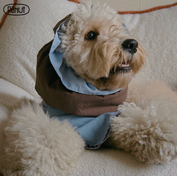 Pēnut Light Chocolate Ear Snood & Blue Bandana