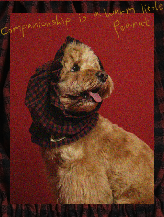 Pēnut Christmas Chestnut Ear Snood & Bandana