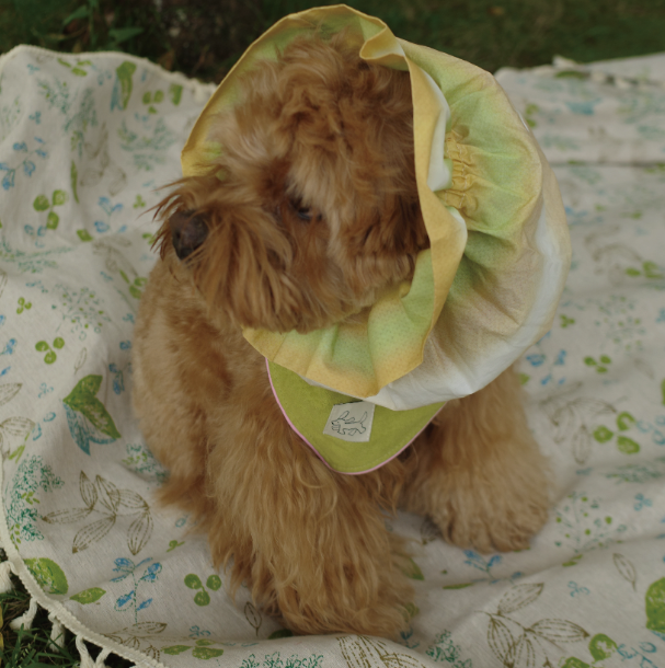 Pēnut Summer Tie-Dye Ear Snood & Bandana