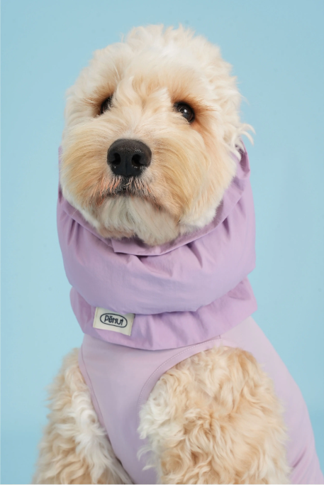 Pēnut Water-Resistant Dog Ear Snood